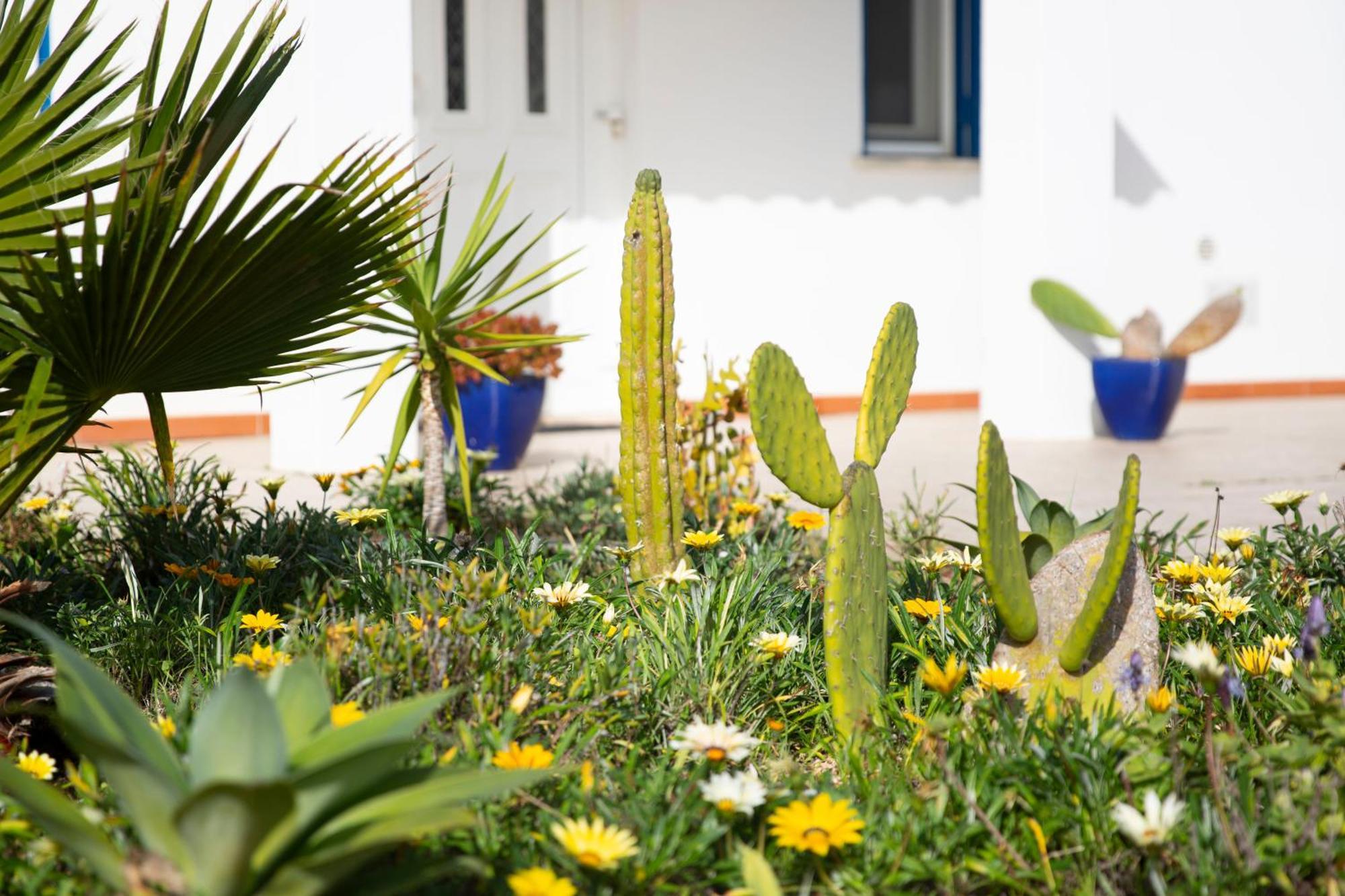 Villa Marecasa Aljezur Exterior foto